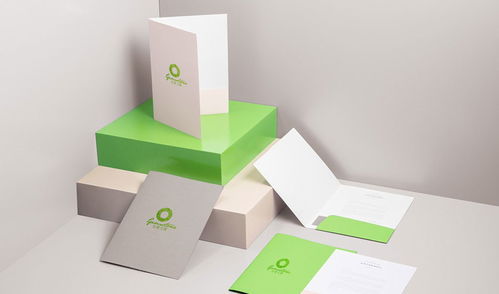 專(zhuān)業(yè)廣告設(shè)計(jì)，助力品牌騰飛——金妻玉寶杰出設(shè)計(jì)服務(wù)