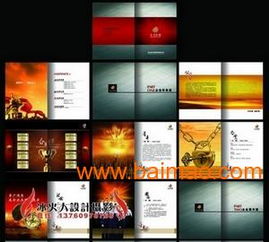 VIS品牌策劃與設(shè)計(jì)服務(wù) 從標(biāo)志到畫(huà)冊(cè)、包裝的全面解決方案